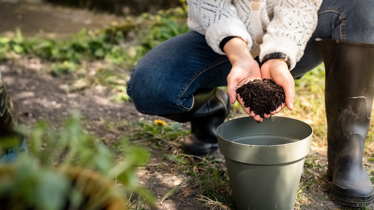 Barattolo di caffè usato accanto a piante in vaso, illustrando il metodo di concimazione naturale.