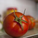 Bottiglia di gazpacho servita con pomodori freschi e ingredienti, pronta da refrigerare.